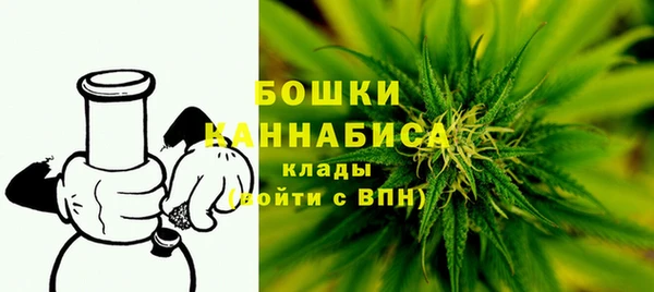 индика Арсеньев