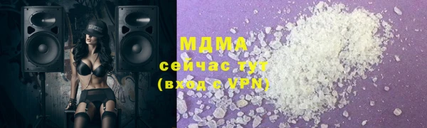 индика Арсеньев