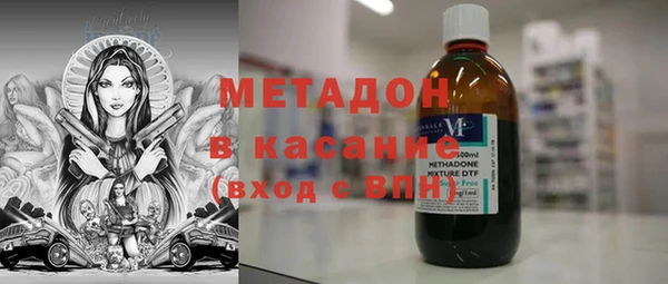 индика Арсеньев
