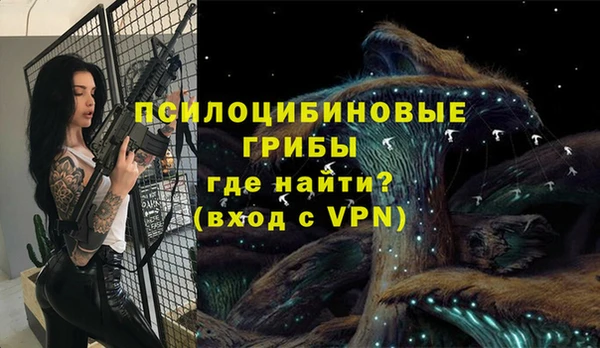 индика Арсеньев