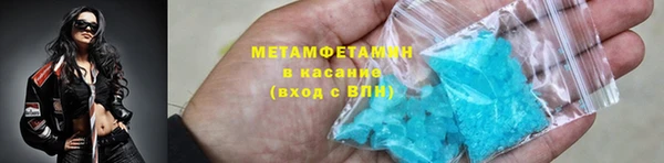 прущие грибы Армянск