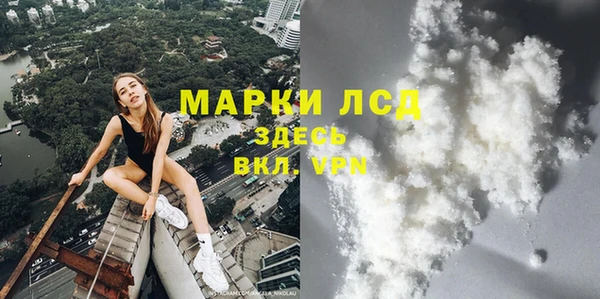 индика Арсеньев