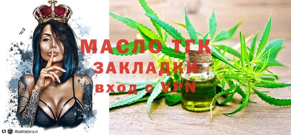 индика Арсеньев