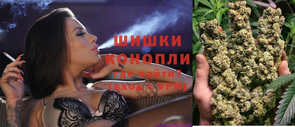 прущие грибы Армянск