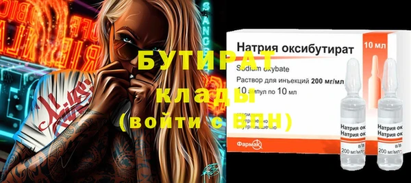 индика Арсеньев