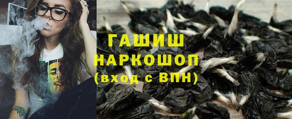 прущие грибы Армянск