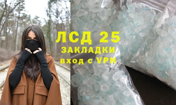 индика Арсеньев