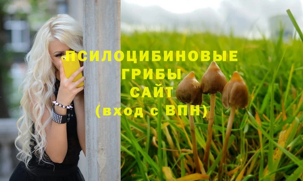 индика Арсеньев
