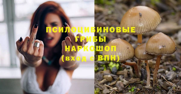 прущие грибы Армянск