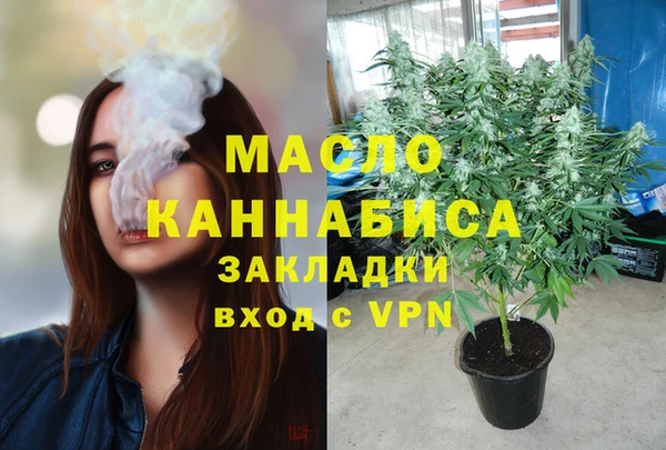 индика Арсеньев