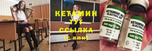 индика Арсеньев