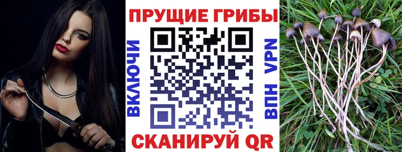 как найти закладки  ОМГ ОМГ вход  Галлюциногенные грибы MAGIC MUSHROOMS  Чудово 